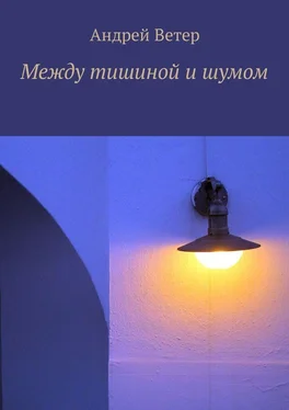 Андрей Ветер Между тишиной и шумом обложка книги