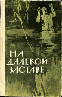 Иван Никошенко На далекой заставе [Рассказы и очерки о пограничниках] обложка книги