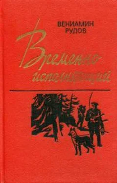 Вениамин Рудов Временно исполняющий обложка книги