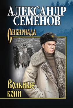 Александр Семенов Вольные кони обложка книги