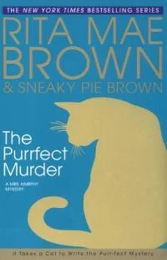 Рита Браун The Purrfect Murder обложка книги