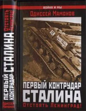 Одиссей Мамонов Первый контрудар Сталина обложка книги