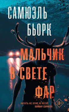 Самюэль Бьорк Мальчик в свете фар обложка книги