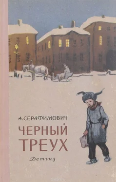 Александр Серафимович Черный треух обложка книги