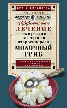 Ирина Филиппова Молочный гриб. Эффективное лечение ожирения, гастрита, атеросклероза… обложка книги