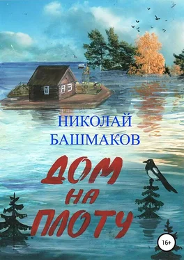 Николай Башмаков Дом на плоту обложка книги