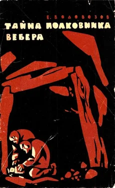 Евгений Водовозов Тайна полковника Вебера [Повесть] обложка книги