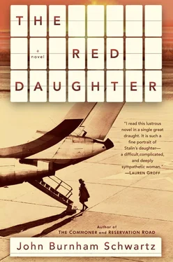 John Schwartz The Red Daughter обложка книги