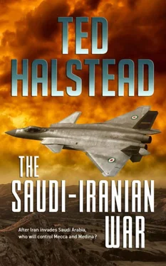 Ted Halstead The Saudi-Iranian War обложка книги