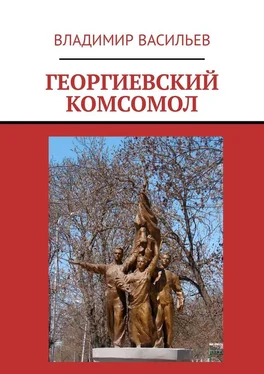 Владимир Васильев Георгиевский комсомол обложка книги