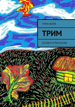 Тима Феев Трим обложка книги