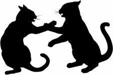 RAGGEDSTAR RAGGEDSTAR WAS BORN IN ShadowClan to the warrior Featherstorm - фото 43