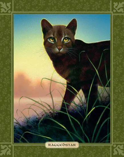 RAGGEDSTAR WAS BORN IN ShadowClan to the warrior Featherstorm but the identity - фото 44