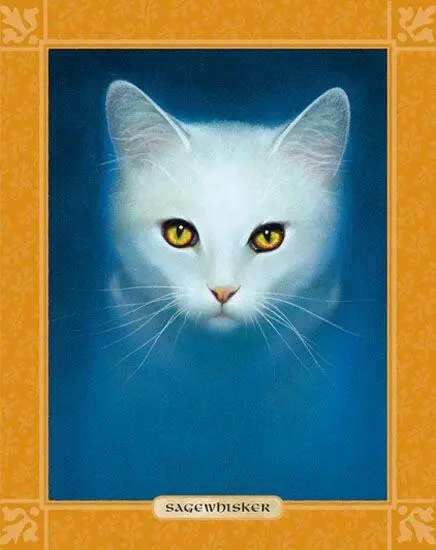SAGEWHISKER WAS THE MEDICINE cat before Yellowfang She served Cedarstar and - фото 47