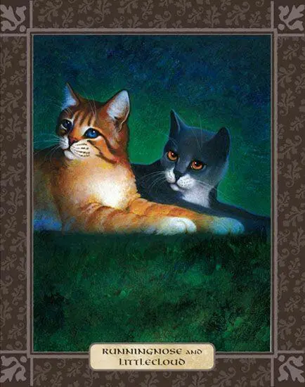 RUNNINGNOSE WAS CHOSEN BY Yellowfang to train as a ShadowClan medicine cat - фото 48