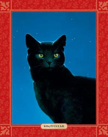 AS A WARRIOR NIGHTSTAR then known as Nightpelt was dedicated thoughtful - фото 51