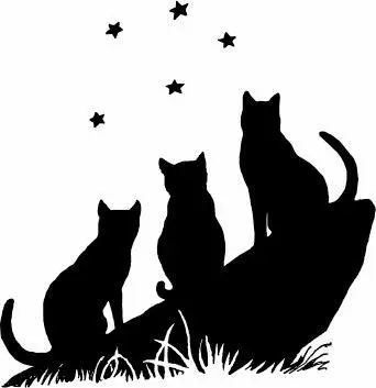 It is the duty of StarClan to give you lives for what you might lack to make - фото 70