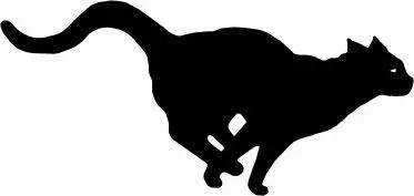 WINDCLAN Introduction to WindClan Tallstar Speaks THE OTHER CLANS HAVE - фото 71