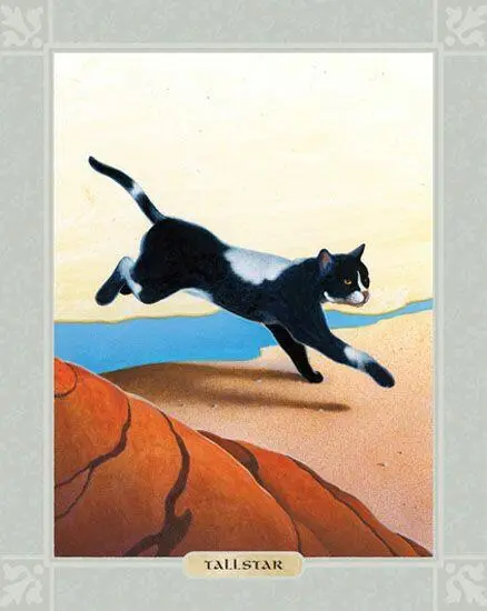 TALLSTAR THE CAT WHO WOULD grow to become Tallstar was born to a pair of - фото 73