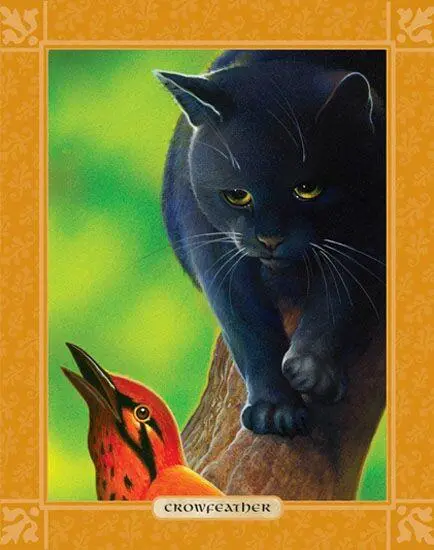 CROWFEATHER SHY AWKWARD DEFENSIVE CROWPAW who would become Crowfeather - фото 77