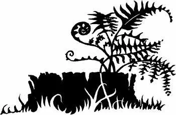 In the Great Battle with the Dark Forest Crowfeather realized the legacy he - фото 78