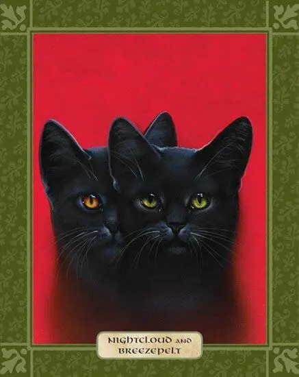 NIGHTCLOUD AND BREEZEPELT NIGHTCLOUD WAS OLDER THAN Crowfeather and was - фото 79