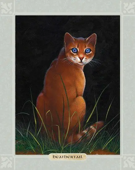 HEATHERTAIL HEATHERPAW WAS A LIVELY curious impulsive WindClan apprentice - фото 80