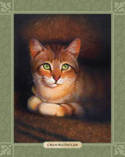 CROOKEDSTAR WHEN CROOKEDSTAR WAS BORN he was called Stormkit but a fall - фото 82