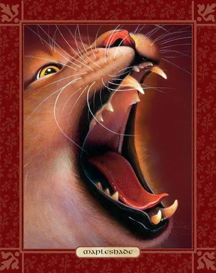 MAPLESHADE BORN IN THUNDERCLAN MAPLESHADE was a keen and loyal apprentice - фото 84