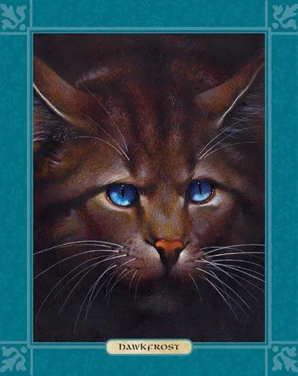 HAWKFROST HAWKFROST WAS TIGERSTARS OTHER son half brother to Brambleclaw - фото 94