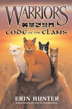 Эрин Хантер Code of the Clans