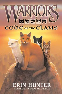 Эрин Хантер Code of the Clans обложка книги