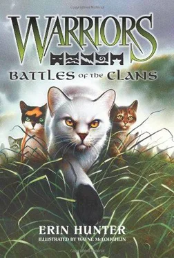 Эрин Хантер Battles of the Clans обложка книги