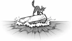 A Jump Check with a total of 12 or higher will allow a cat to get out of the - фото 51