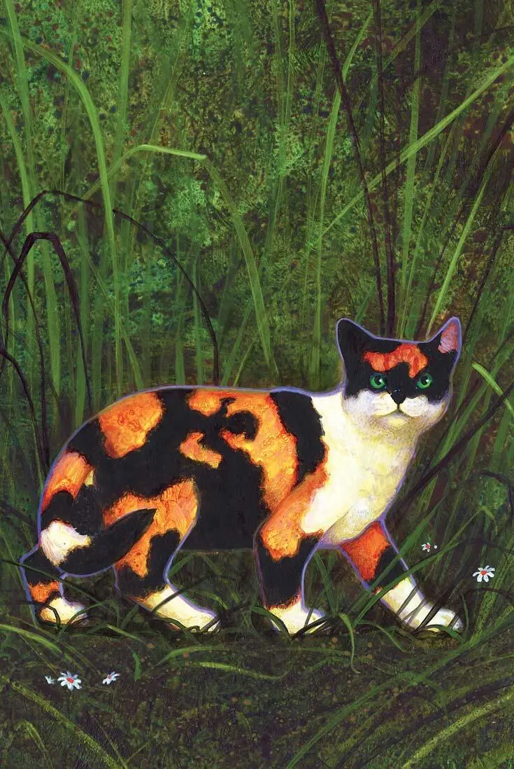 Tawnypelt Boulder The ShadowClan catwho was raised in BloodClan the cat who - фото 29