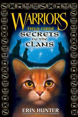 Эрин Хантер Secrets Оf Тhe Clans обложка книги