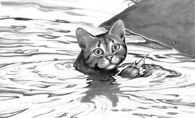 A yowl came from the end of the island Silverpaw and Shadepaw were scrabbling - фото 26