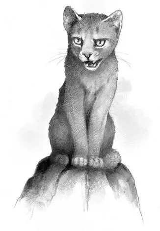 Tigerstar believes in TigerClan so strongly I can see the future spreading out - фото 30