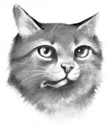 Huge lightcolored tabby tom with green eyes and twisted jaw Determined - фото 32
