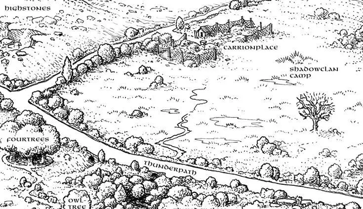 1 ShadowClan campA dark wellconcealed hollow the camp is hidden deep in - фото 34