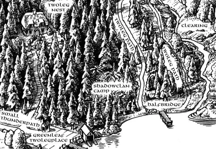 1 ShadowClan campMuch closer to Twolegs than forest home but the camp is - фото 39