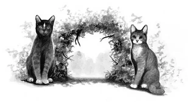 Im Tawnypelt and I found this placeyouve heard about that I tell you by - фото 40