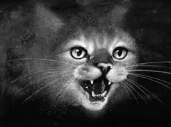 My name is Snowfur and I am now one of the warrior ancestors I came to - фото 47