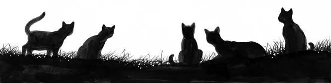 Bluepaw Speaks My First Sight of Fourtrees From the moment you take your first - фото 61