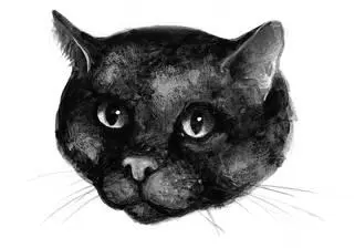 Stoneteller Speaks The Coming of the Silver Cat There are strangers in our - фото 77