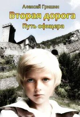Алексей Гришин Путь офицера [СИ] обложка книги