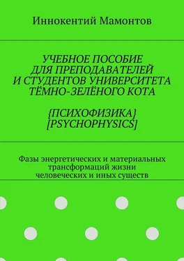 Иннокентий Мамонтов Учебное пособие для преподавателей и студентов университета тёмно-зелёного кота психофизика [psychophysics] обложка книги