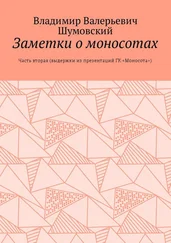 Владимир Шумовский - Заметки о моносотах. Часть вторая