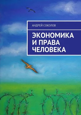 Андрей Соколов Экономика и права человека обложка книги