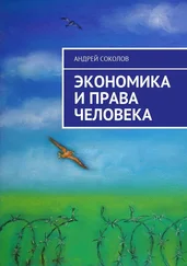 Андрей Соколов - Экономика и права человека